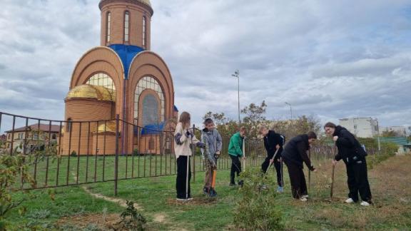 В Будённовском округе прошла экоакция «Зелёная Россия» 