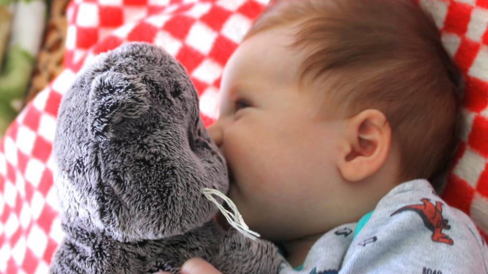 За прошедшую неделю в Ставрополе родились 182 ребёнка