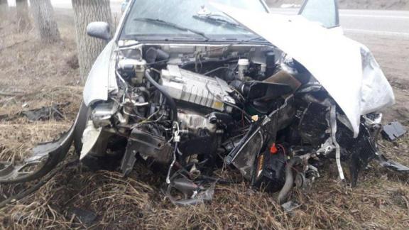 28-летний лихач врезался в дерево в Предгорном районе и попал в реанимацию