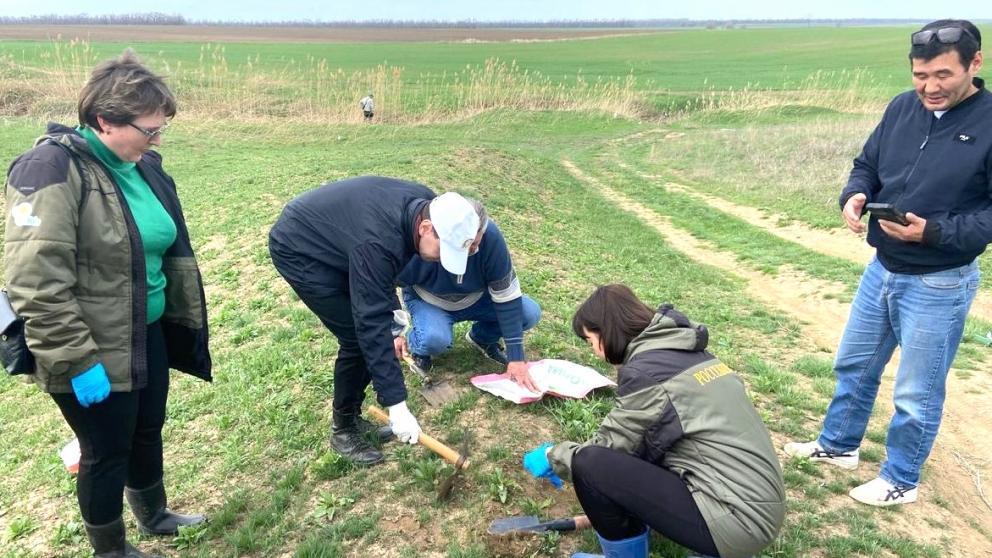 Ставрополье организовало совместные обследования сопредельных территорий по саранче