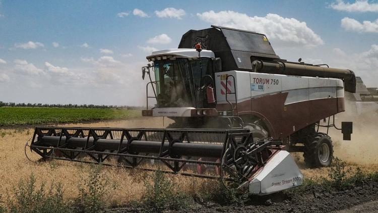 Аграрии Ипатовского округа Ставрополья преодолели хлебный рубеж в 300 тысяч тонн