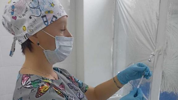 Будённовский округ активно участвует в иммунизации против гриппа