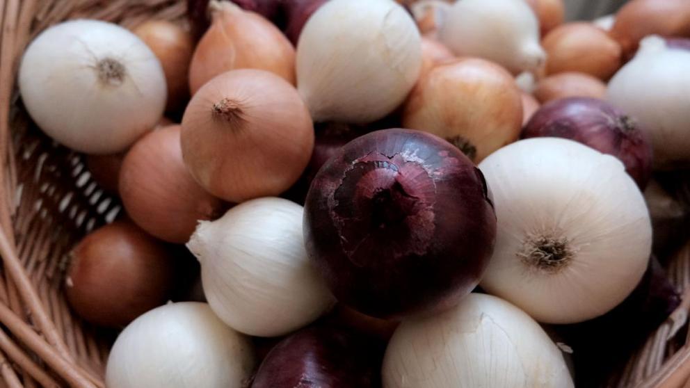 По производству лука Ставрополье в 10-ке лучших регионов России