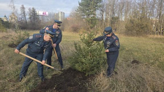 В Ставрополе спасатели провели субботник на «Аллее жизни»