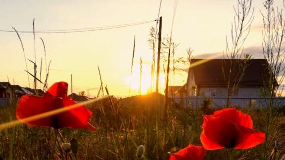 Три ДНТ в Ставрополе улучшат инфраструктуру за счет средств городского бюджета