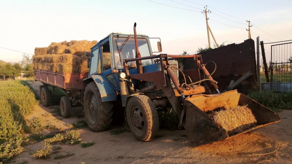 На Ставрополье для кормления животных в зимний период заготовлено 1,6 млн тонн грубых кормов