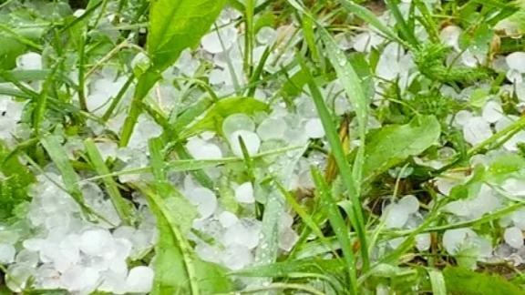 В Георгиевском округе Ставрополья град полностью уничтожил 2 тысячи гектаров