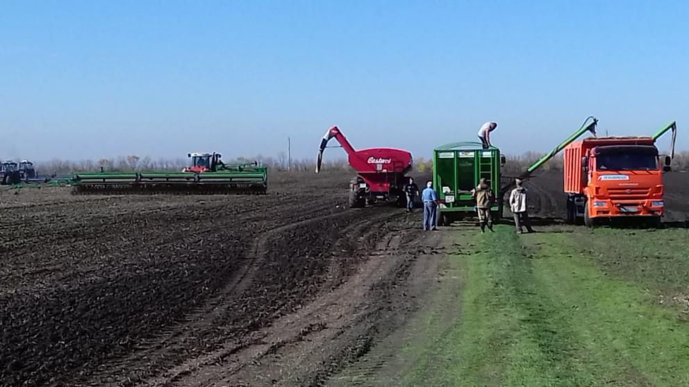 В Шпаковском округе закончился сев яровых зерновых и зернобобовых культур