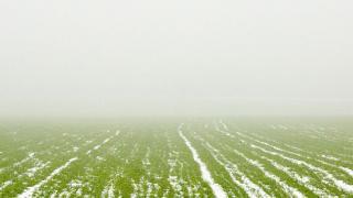 Аграрии Ставрополья начали подготовку к весенней посевной