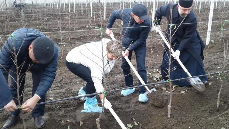 В Новоалександровске приступили к закладке второй очереди суперинтенсивного сада