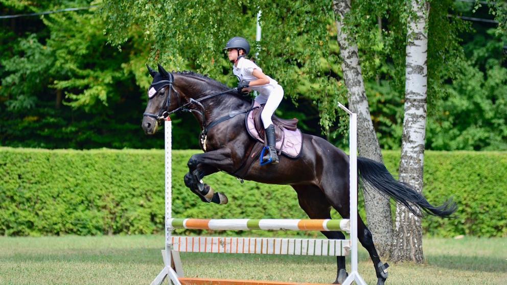 В Ставрополе провели состязания по конкуру