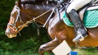 Всадница из Ставрополя одержала победу в соревнованиях по конкуру в г. Минеральные Воды