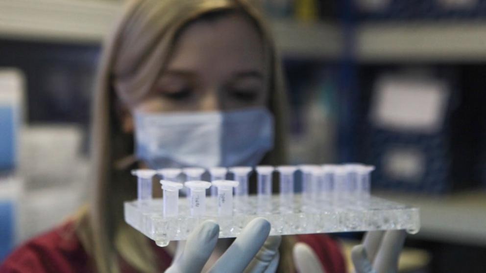 Вора дорогостоящих семян на Ставрополье вычислили по каплям крови