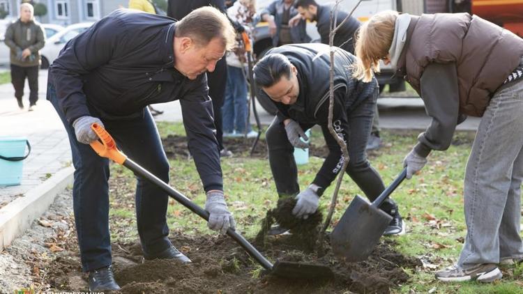 В Ставрополе продолжается озеленение городских территорий