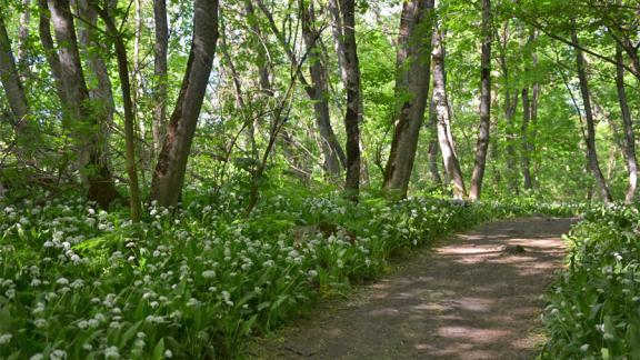 В Ставрополе откроется школа экологичного образа жизни «GreenКульт»