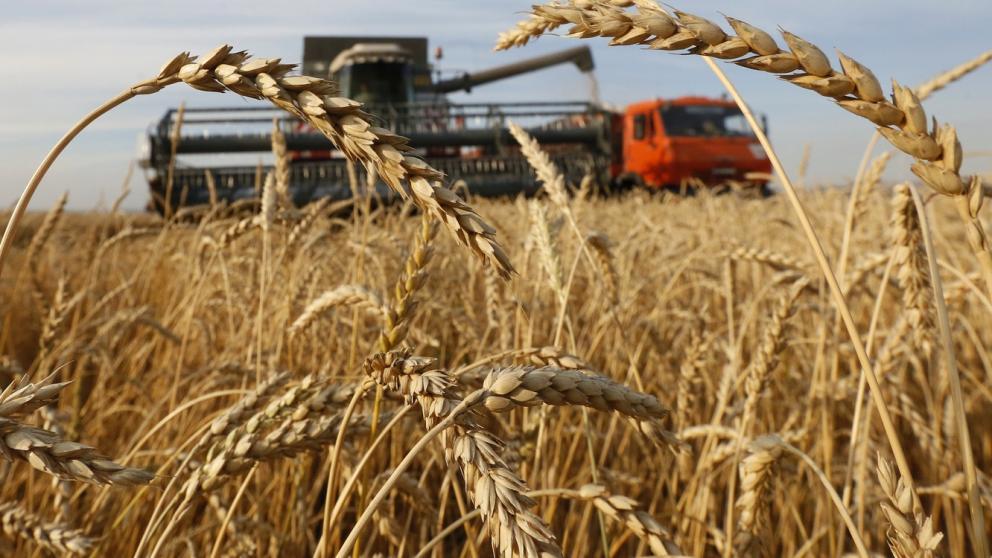 В рамках первой Сельскохозяйственной микропереписи данные о ставропольских аграриях соберут с помощью планшетов с ОС «Аврора»