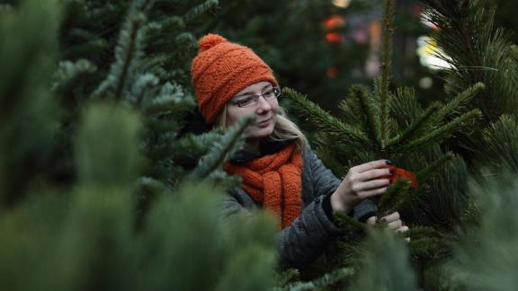 Жители Пятигорска просят создать еще один ботанический сад