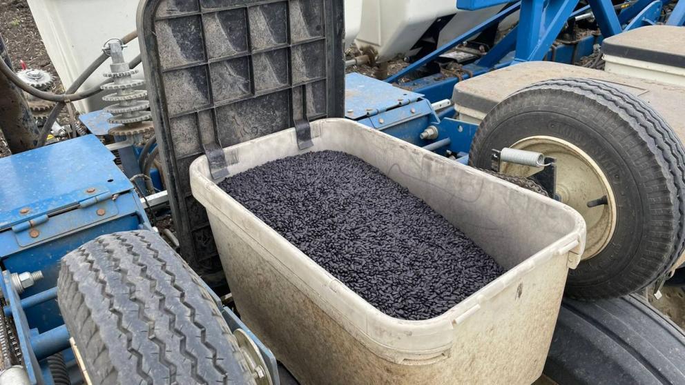 На Ставрополье стартовал сев подсолнечника