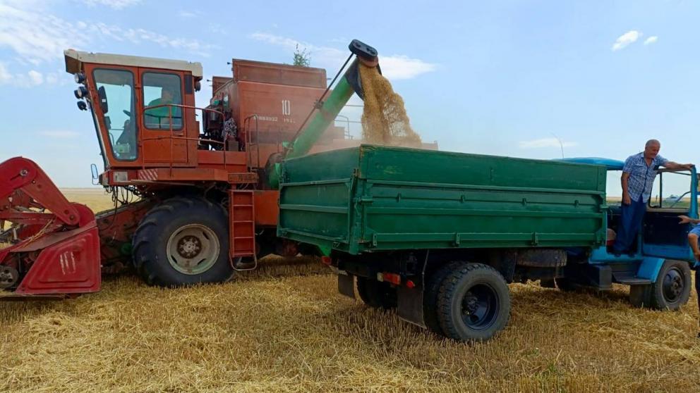 Аграрии Ставрополья собрали уже более 200 тысяч тонн зерновых