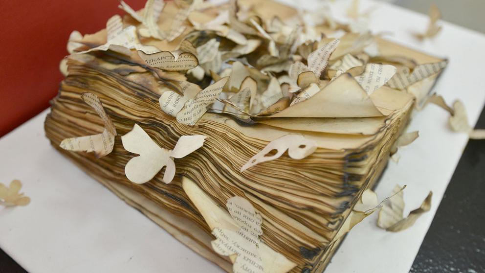 «Бумажная пластика» необыкновенной красоты представлена в Ставрополе