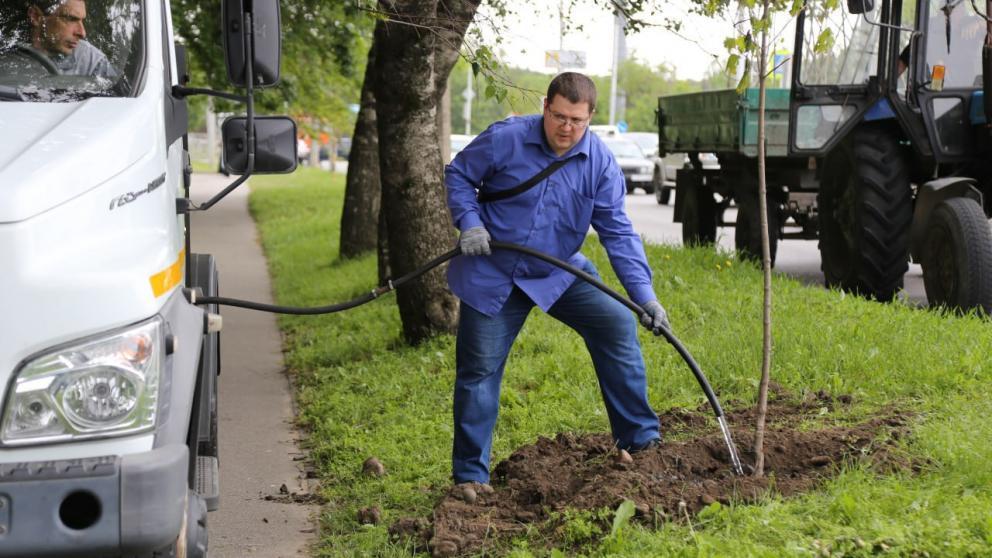 Более 80 деревьев высадили в Ставрополе весной