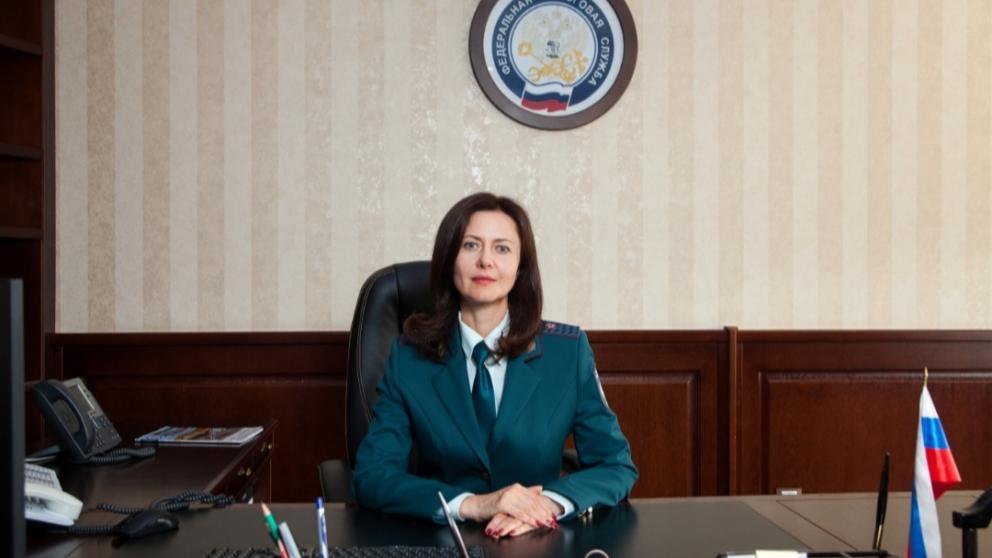 Елена Афонина: Сколько должны ставропольские налогоплательщики