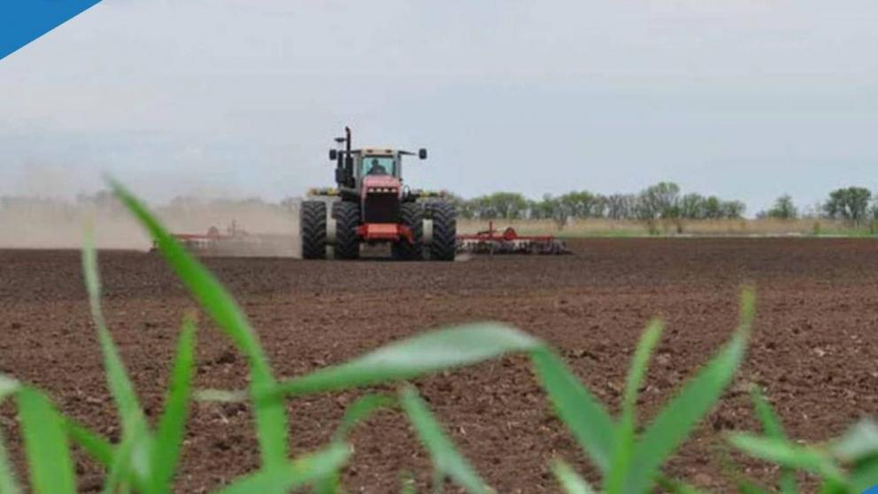 В Ипатовском округе Ставрополья завершилась весенняя посевная кампания