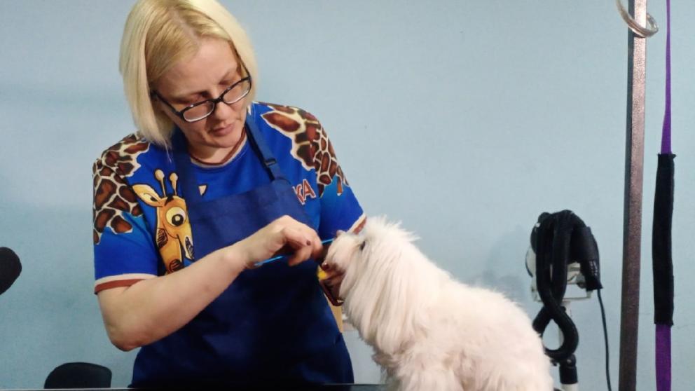 На Ставрополье соцконтракт помог облегчить рабочий процесс в салоне красоты для четвероногих