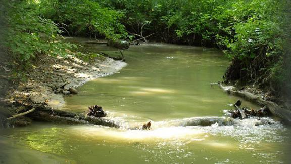 На Ставрополье стартует экомарафон «Чистые берега Кавказа»