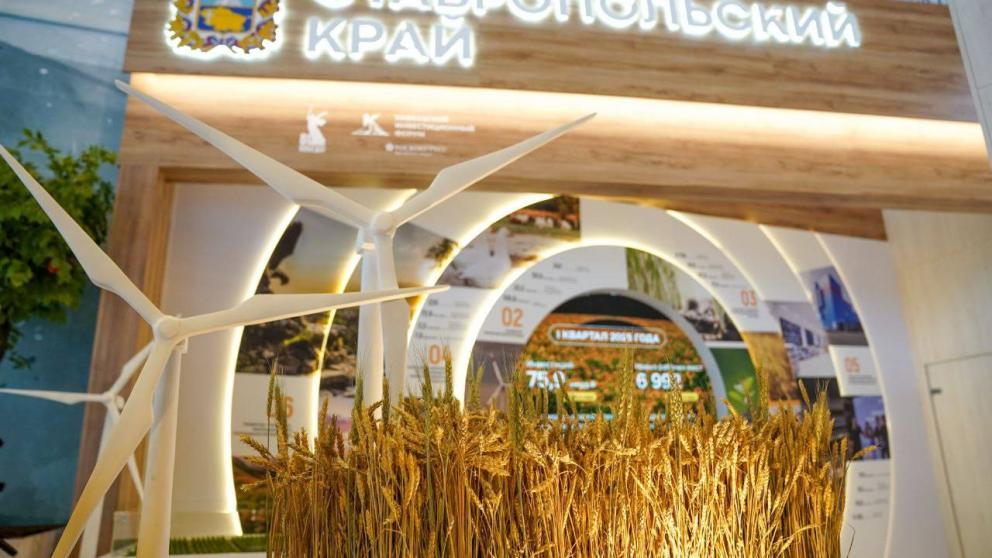 Губернатор Ставрополья подвёл итоги КИФ-2025