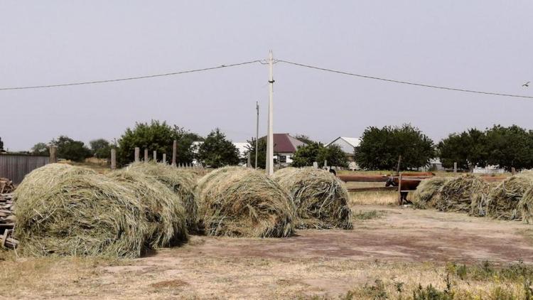 Аграрии Ипатовского округа приступили к заготовке кормов