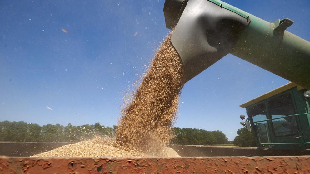 Губернатор Владимиров: Аграрии Ставрополья собрали 2,9 млн тонн зерна