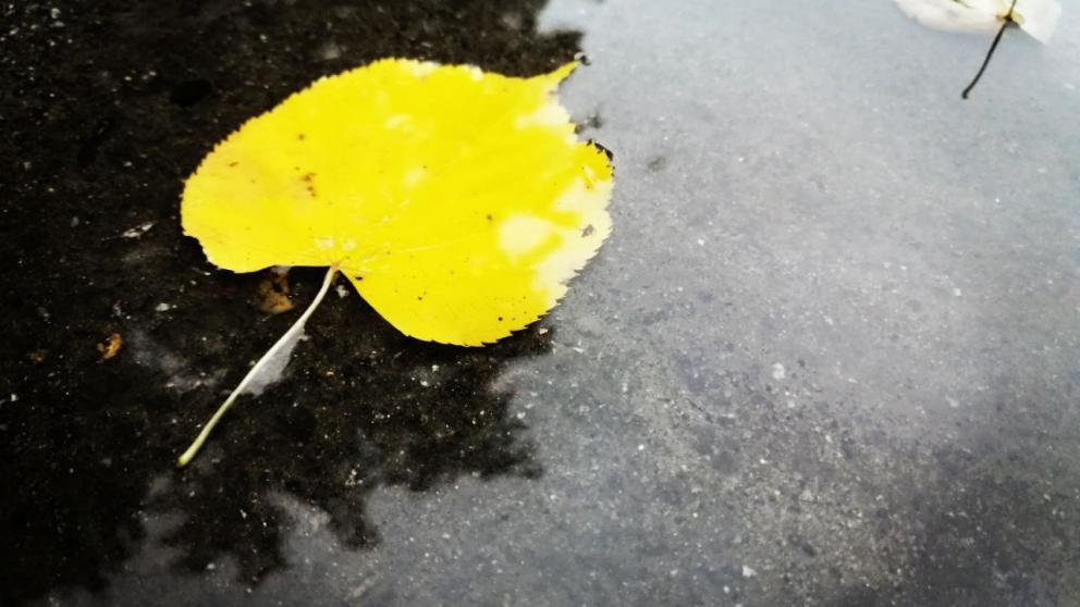 В Ставрополе строят новый канализационный коллектор