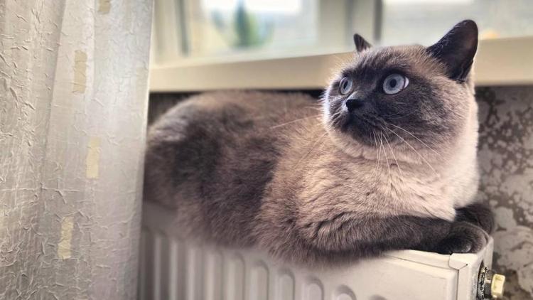 В Ставрополе отопительный сезон завершат 15 апреля