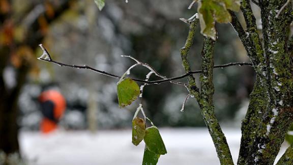 На Ставрополье ожидается туман и небольшие осадки