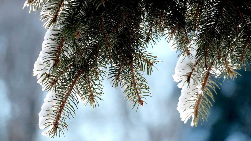 Первый снег ожидается на Ставрополье в ночь на 1 ноября