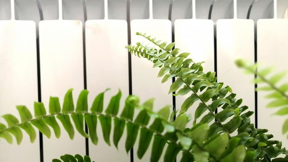 В Ессентуках устранили аварию в котельной