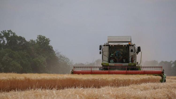 Аграрии Левокумского округа завершили жатву зерновых