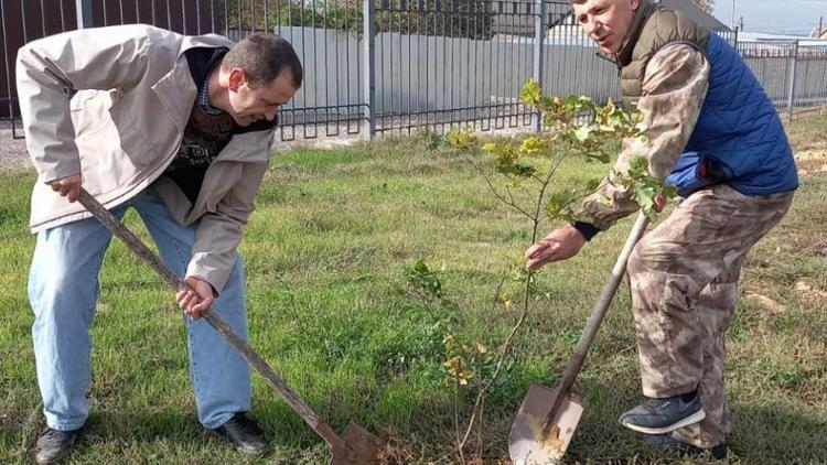 На Ставрополья осенью высадят более 2,5 тысячи деревьев