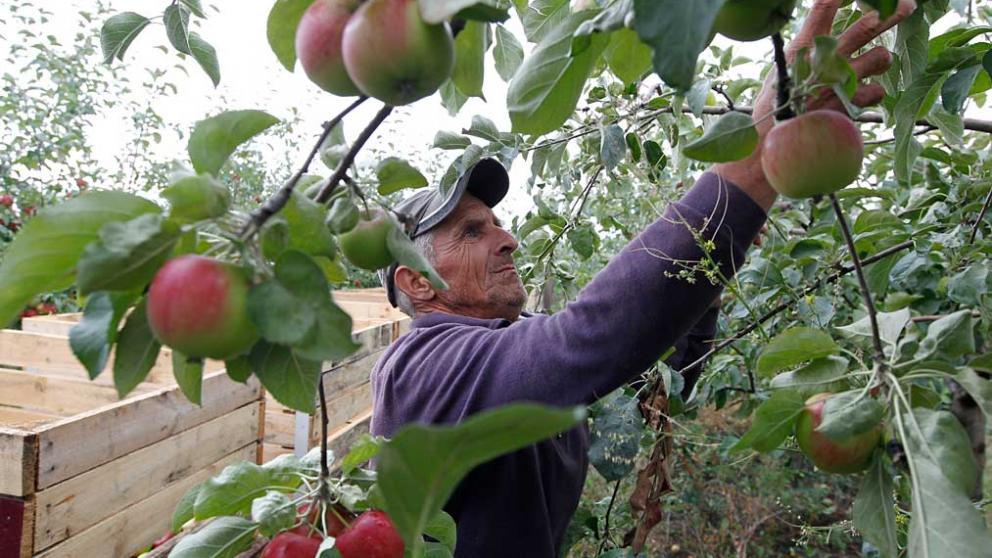 Георгиевский район - лидер Ставрополья по инвестпроектам