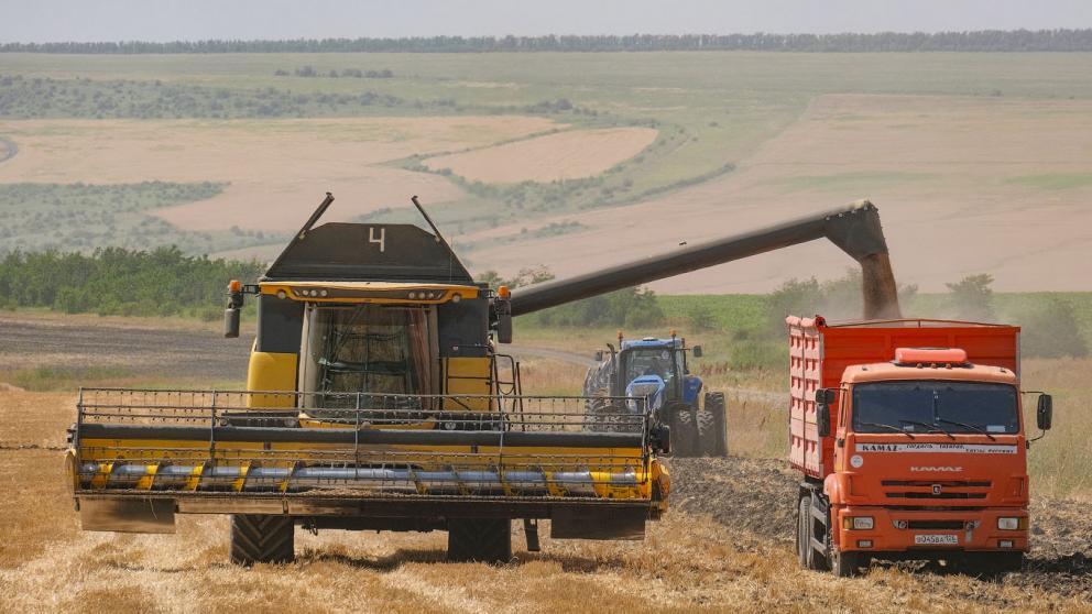 Фермерские хозяйства Андроповского округа Ставрополья повысили урожайность зерновых 