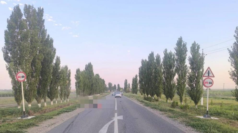 Водитель автомобиля сбил насмерть пешехода в Будённовском округе Ставрополья