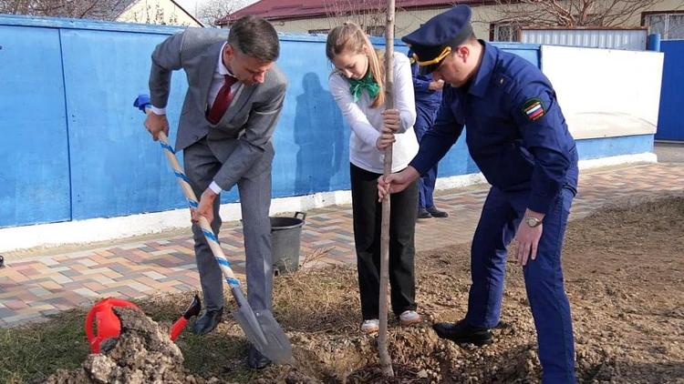 Масштабная экологическая акция стартовала в Кочубеевском округе