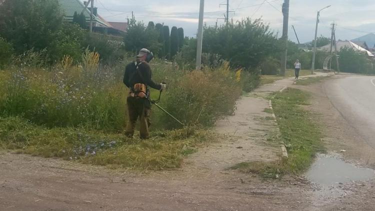 Глава Ессентуков попросил о народном контроле покоса травы