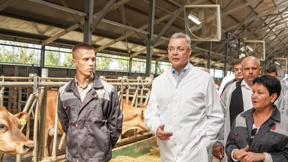 Глава Ставрополья совершил рабочую поездку в Александровский округ