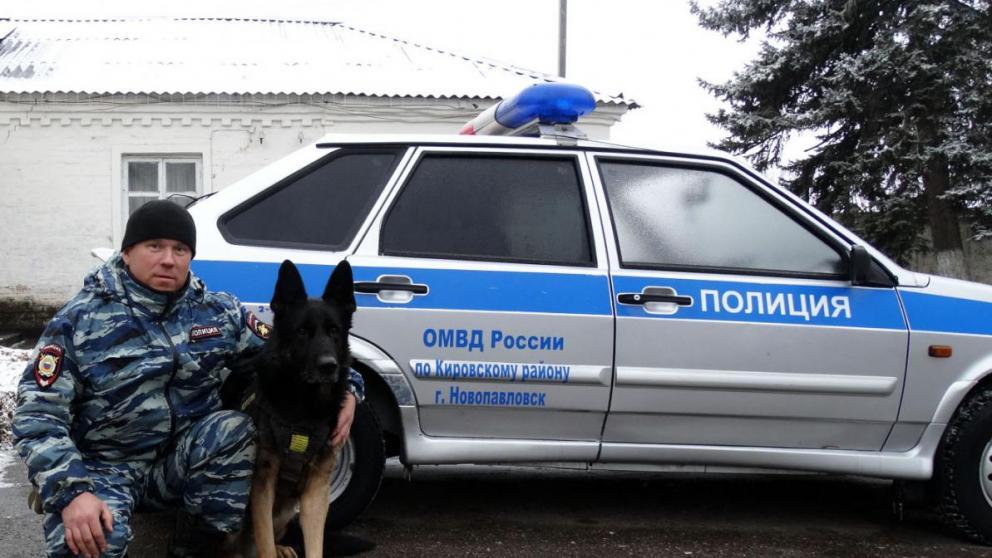 Полицейская овчарка Аполлон изобличила наркомана в Кировском округе