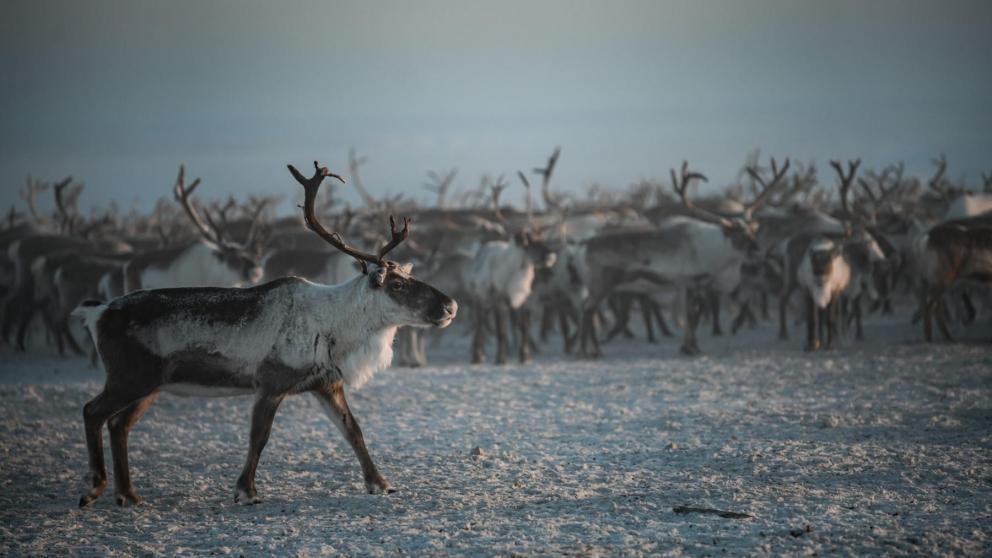 Вместе в цифровое будущее: стартует юбилейный конкурс «Ростелекома» для региональных ИТ-журналистов и блогеров