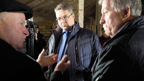 Программа развития овцеводства разработана в Ставропольском крае