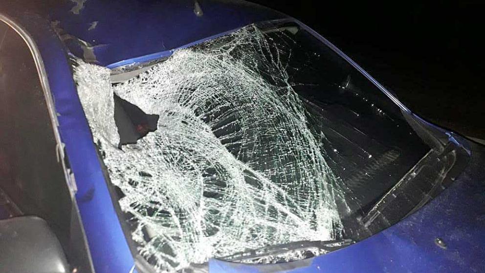 Из-за собственной неосмотрительности погиб пешеход в Предгорном районе