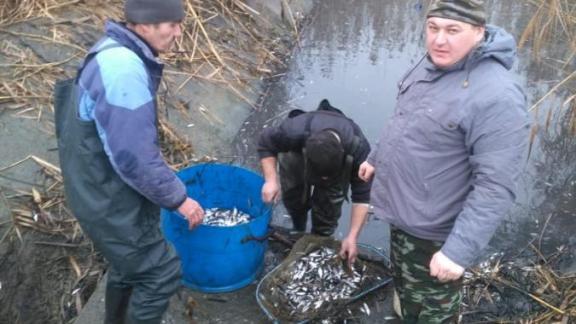 В озере Буйвола спасли рыбу